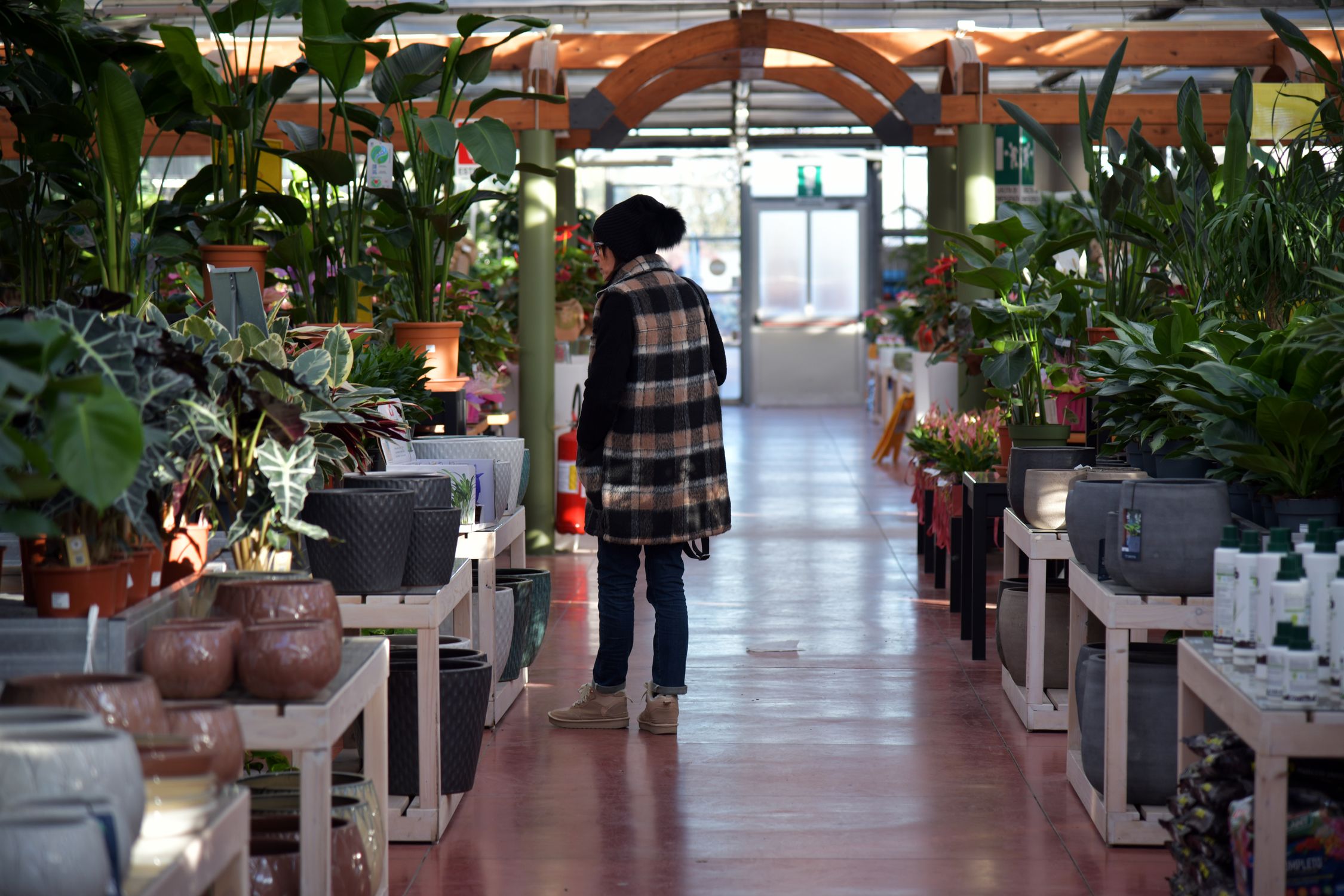 Browsing fruit plants at a well-stocked UK garden nursery - British Berries Guide