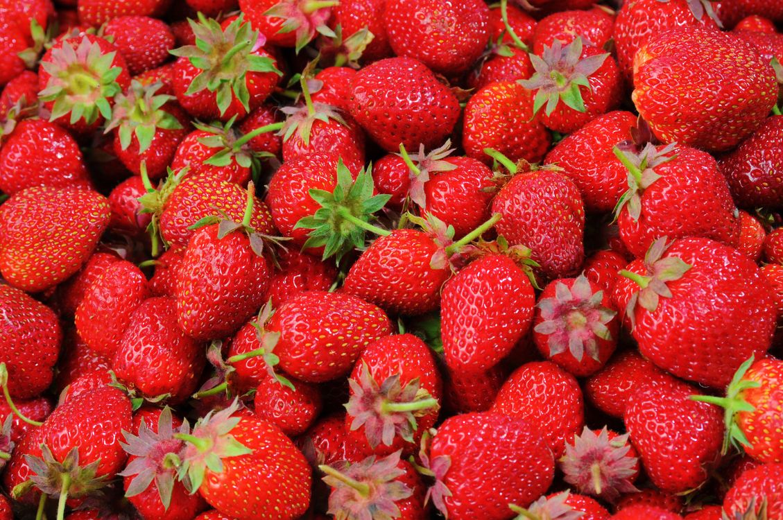 Fresh ripe strawberries - British Berries Guide