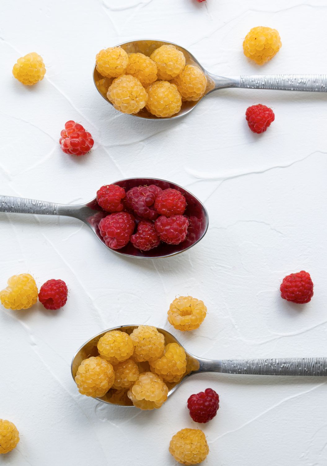Yellow and red raspberries displayed on silver spoons showing different raspberry colour varieties