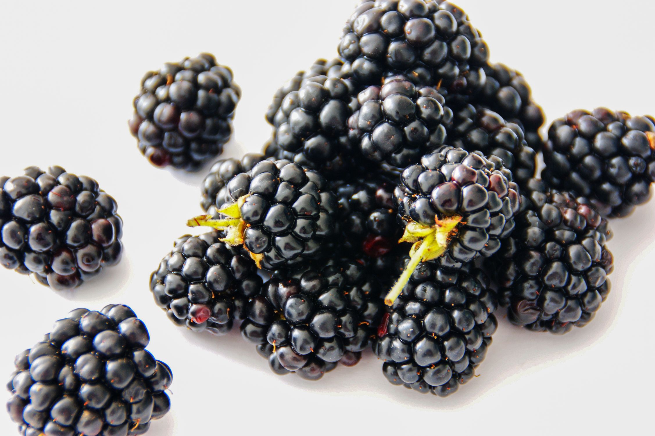 Red-purple hybrid berries ripening on a cane